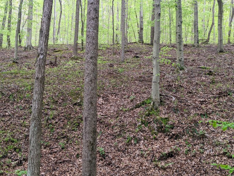 PXL_20230504_222413695