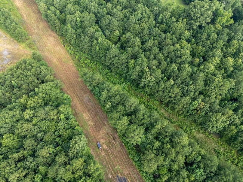 19 Panola Co. 40ac - Rouse-15