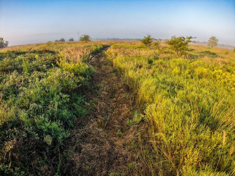 DJI_20250906074717_0065_D