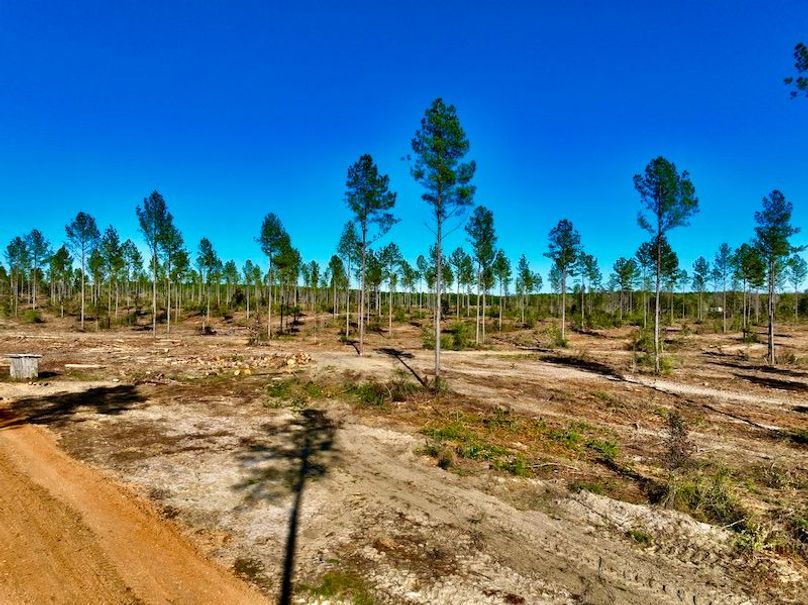 44023910-EE01-4EB9-9613-F07E4117A800_1_201_a