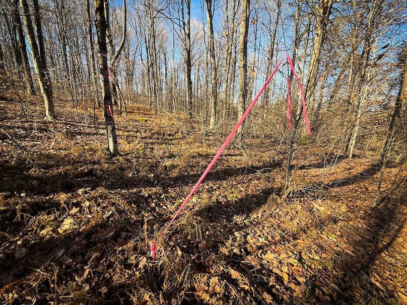 Chemung_31.75_Seymour_North_Photos_23