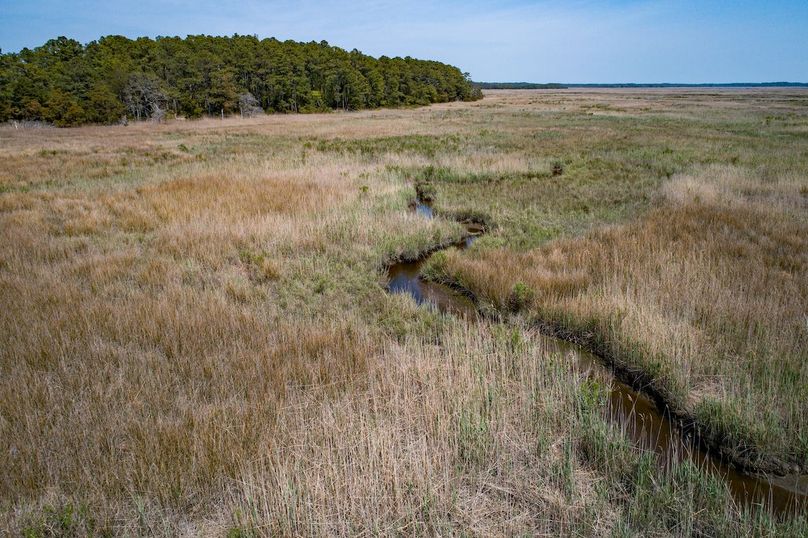 DJI_0263240428-ZF-0713-72000-1-001-026