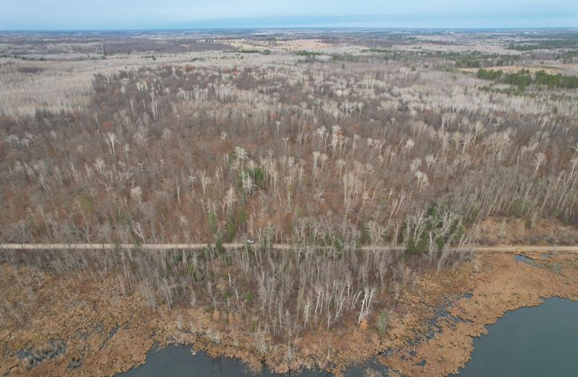 dji_fly_20251104_160620_997_1762294545920_photo