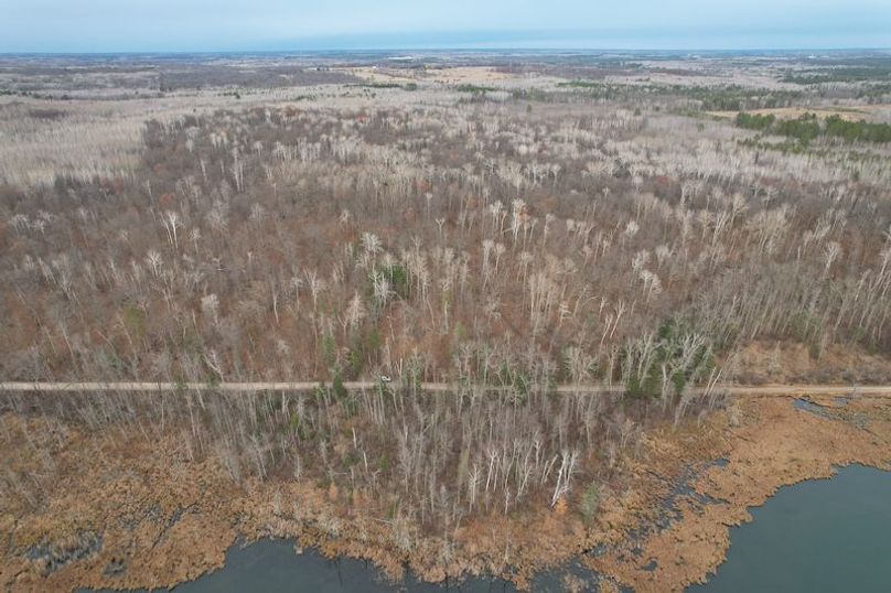 dji_fly_20251104_160620_997_1762294545920_photo