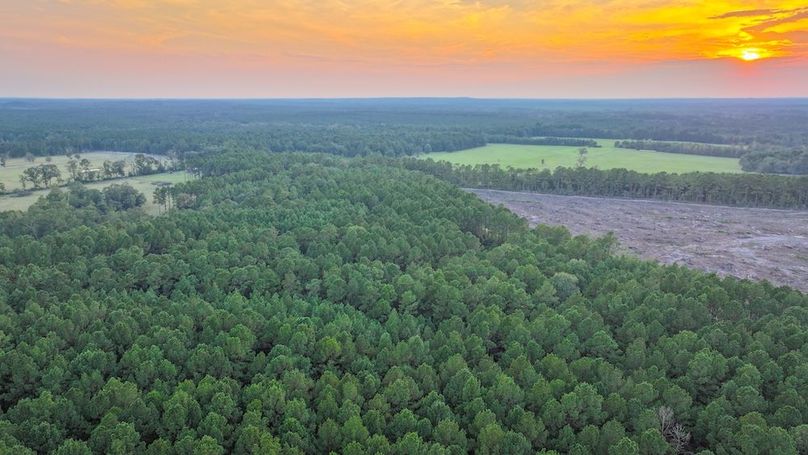 DJI_20250918184619_0269_D