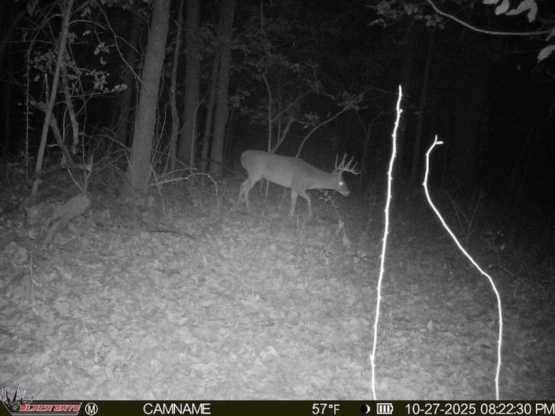 4E8A85D0-F9E6-4357-B7ED-9E31D2132584