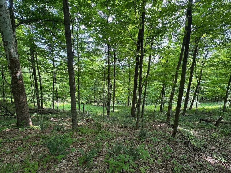 Pleasants, WV 168.59 AC Superior, Swank, Young-065