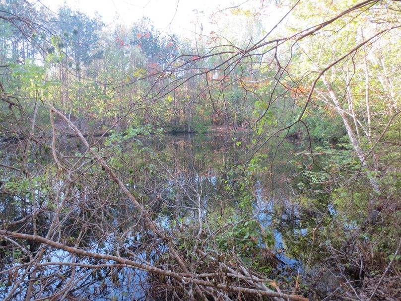 E1D98378-9967-4492-B151-62C9CD99A6B0_1_105_c