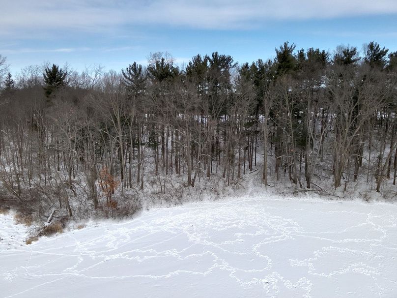 1.Copy of Tract 2 pine strip Large