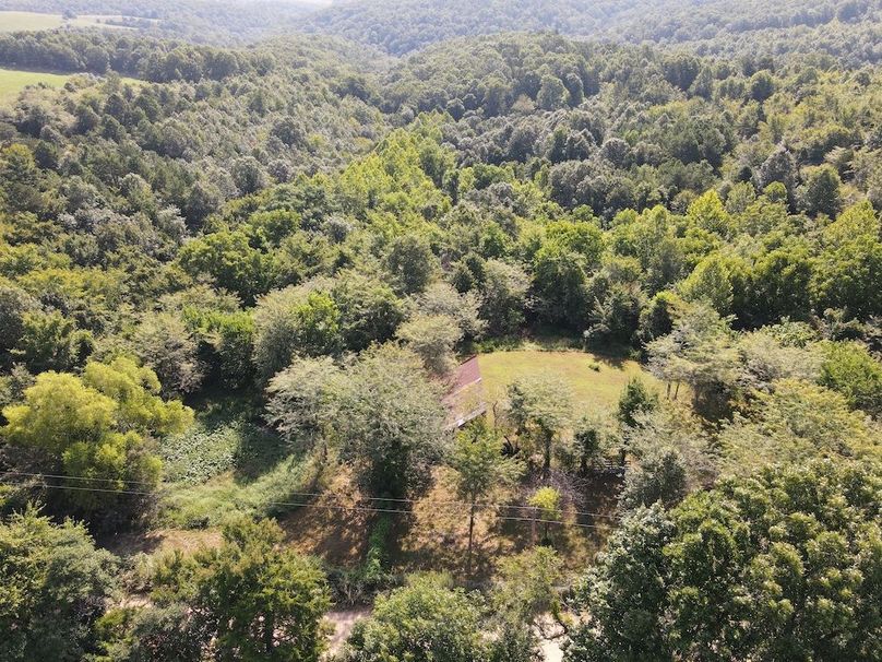 dji_fly_20240808_095102_294_1723128673297_photo