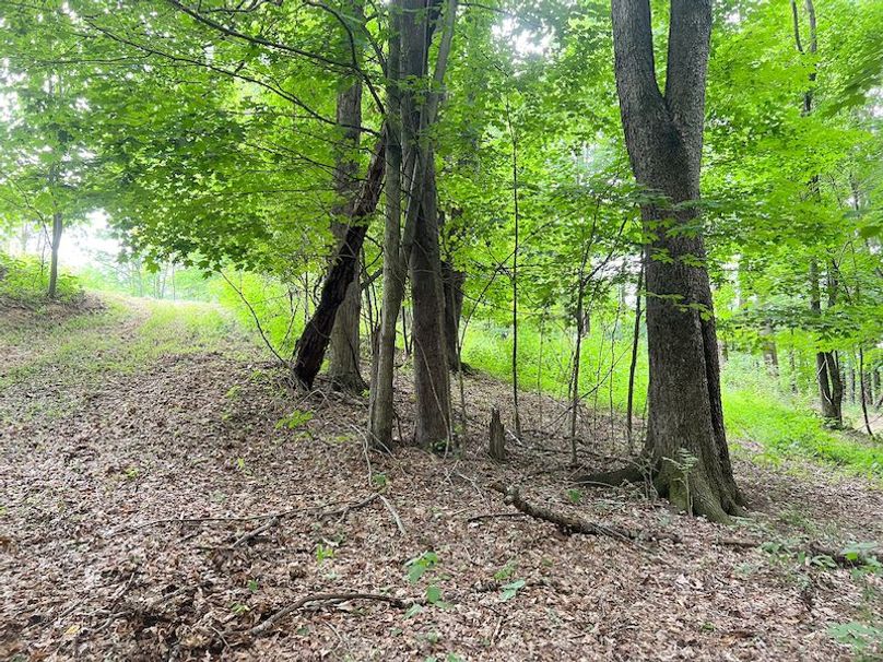 Braxton, WV 46 AC Cooper-66