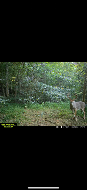 trailcam13