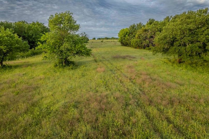 Fannin County- Pecan Ridge (43 of 53)