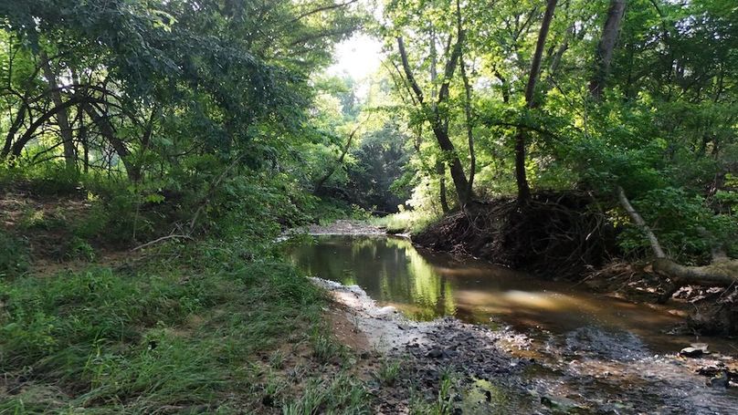 DJI_20250717100526_0075_D