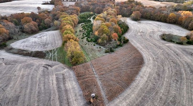 Screenshot 2025-11-20 at 10.04.23 AM