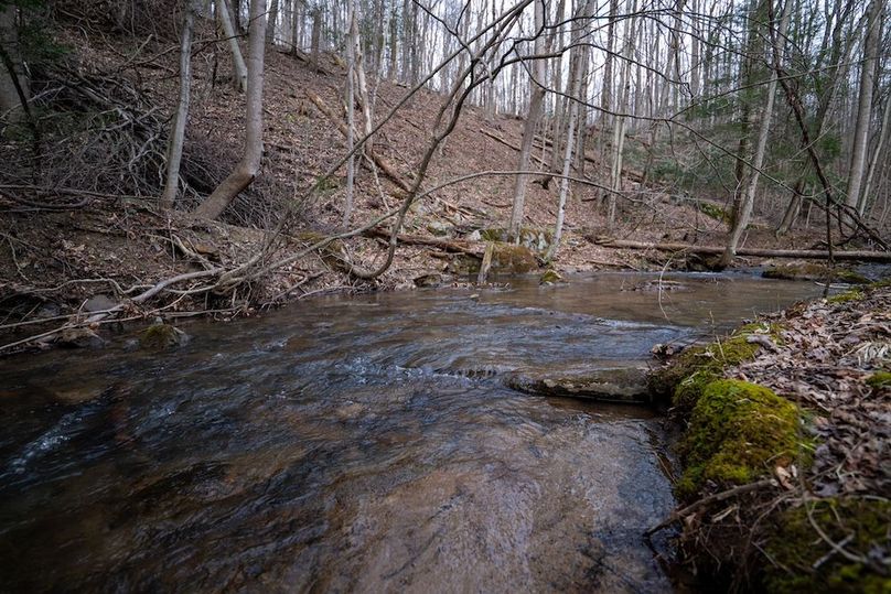 Somerset, 20, Hostetler-50