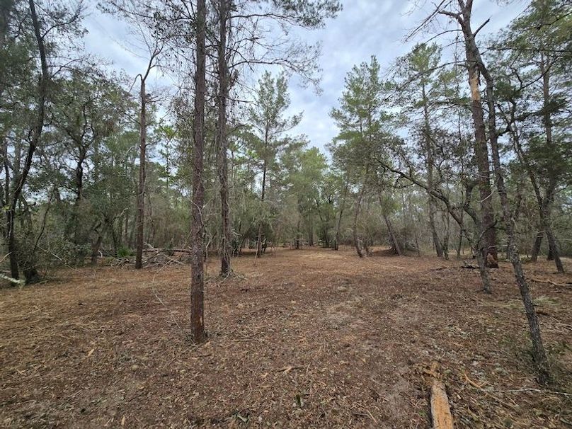 5ac, Marion, Andrew Goering06