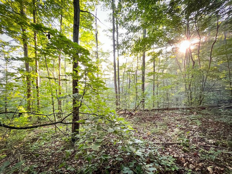 Tioga_82.5_Williams_Photos_17