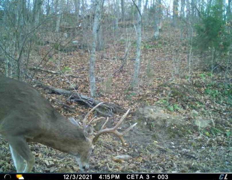 E36B6CEB-A655-4928-86BA-B0CD2FB5D49B