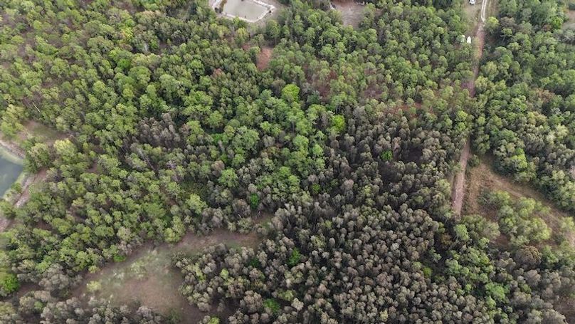 DJI_20260118094514_0178_D