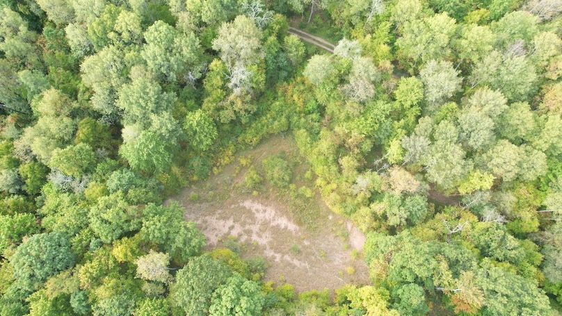 dji_fly_20240919_092026_673_1726752715286_photo