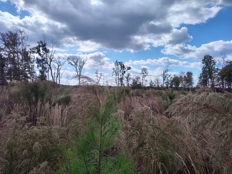 IMG_20231022_134608587_HDR