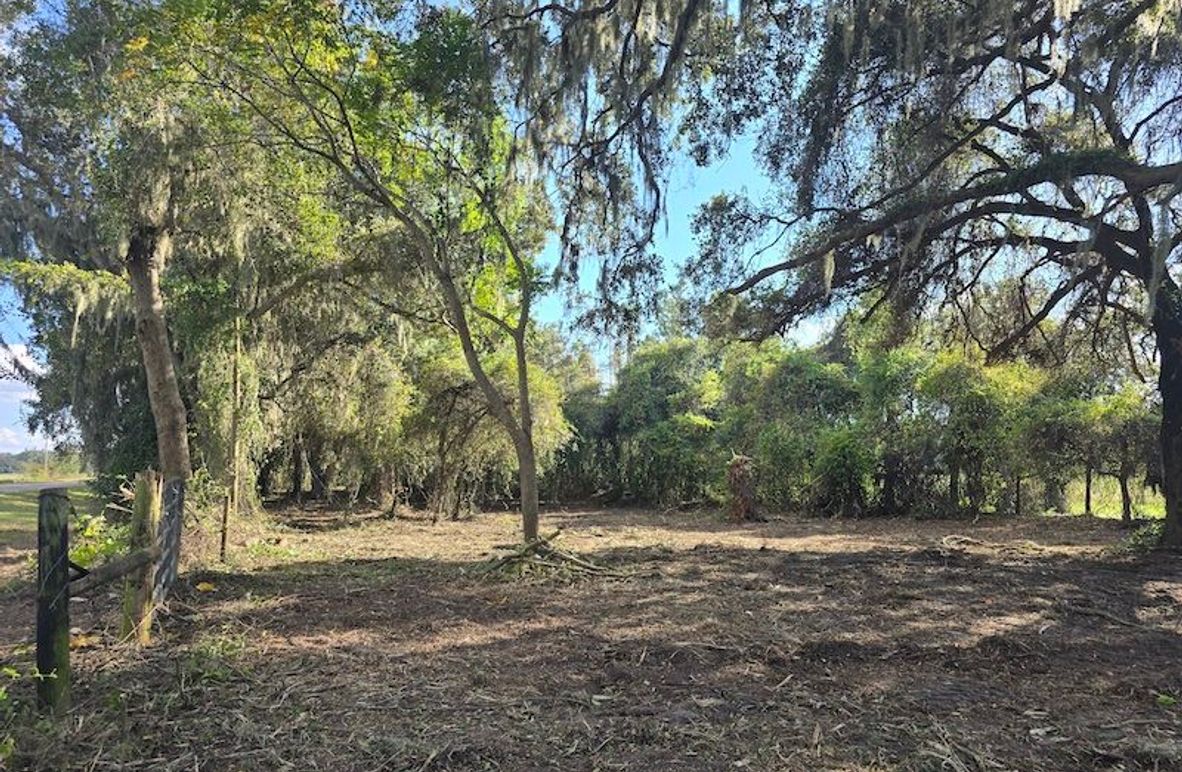 21ac, Sumter, Reelvest03