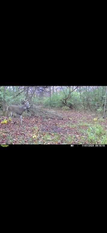 Screenshot 2026-02-27 at 4.14.14 PM