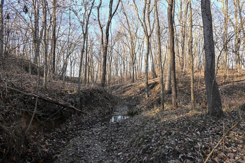 vandalia 450 (2)-2211