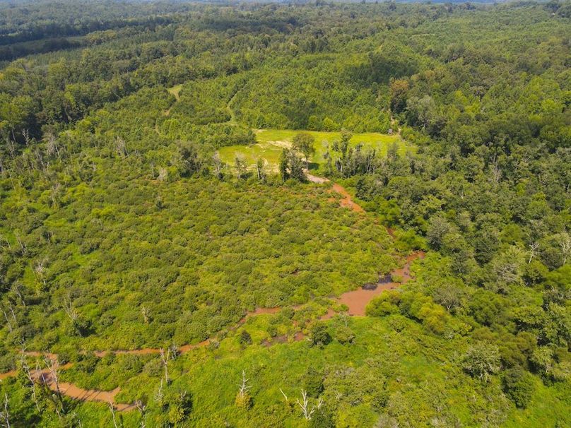 dji_fly_20250729_115812_736_1753804719572_photo