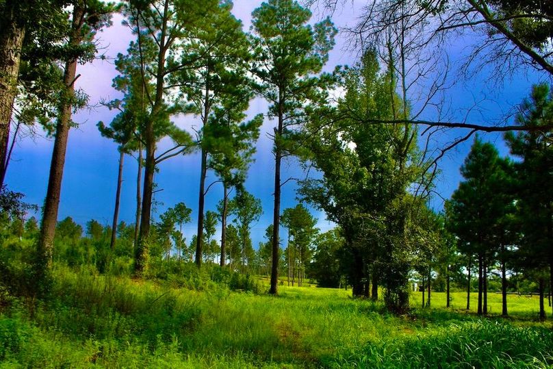 13C78A84-9918-4FA1-98C0-528F21016E75_1_105_c