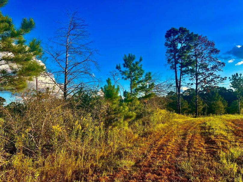 B182F34C-D850-45B4-AC66-449913DDC464_1_201_a