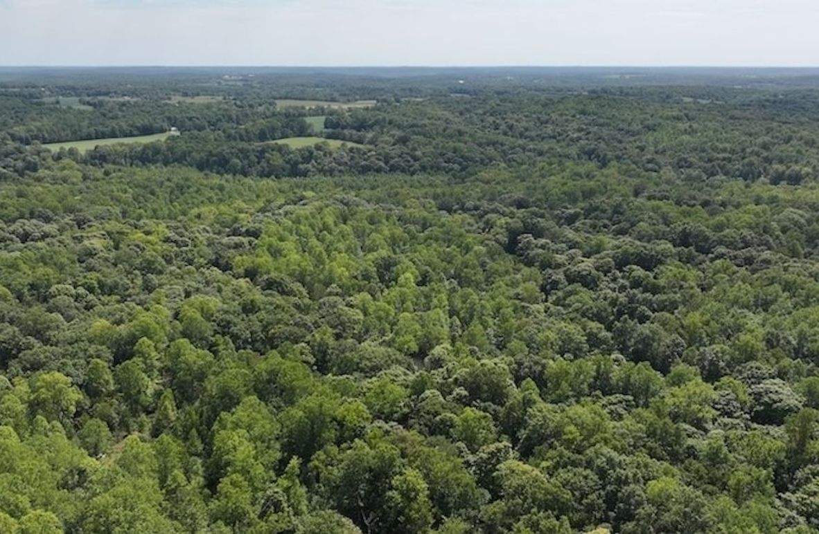 dji_fly_20240904_132802_0370_1725471195873_photo