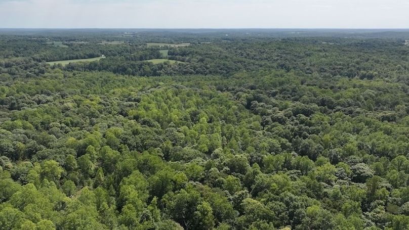 dji_fly_20240904_132802_0370_1725471195873_photo