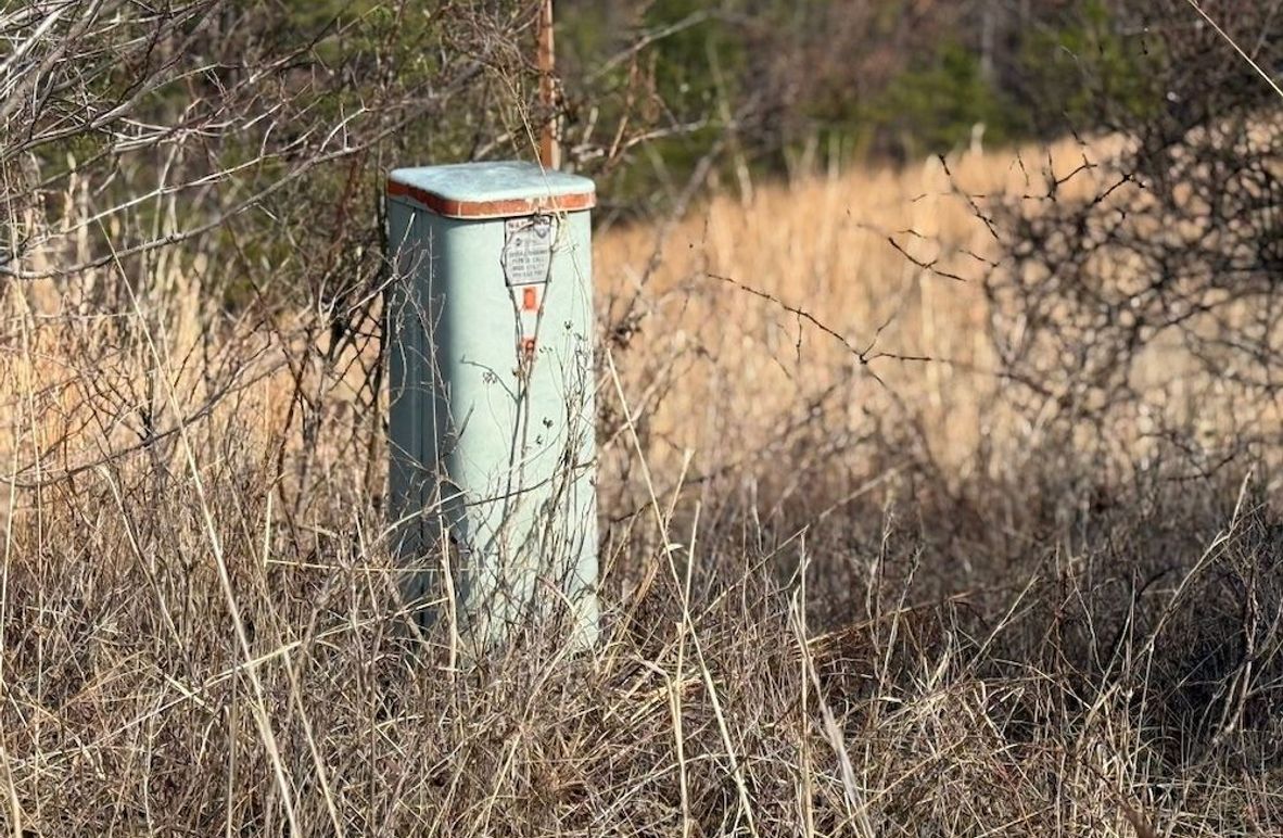 4BC8F54F-209D-469E-8766-31DBD730BB05_1_105_c