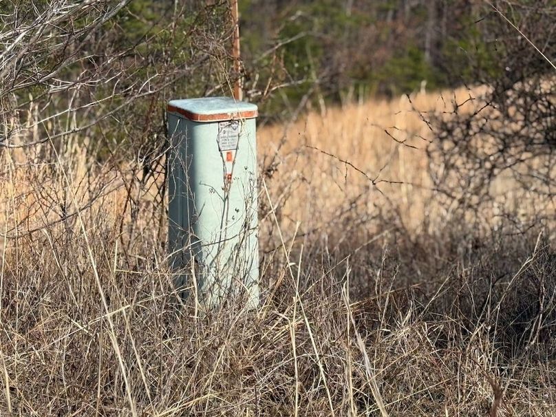 4BC8F54F-209D-469E-8766-31DBD730BB05_1_105_c