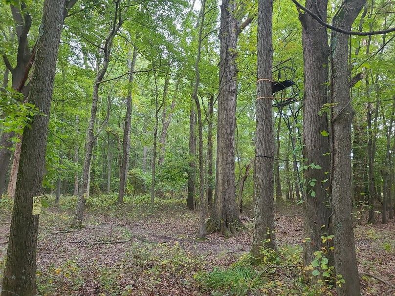 31.40ac_QAnnes_PIC_020