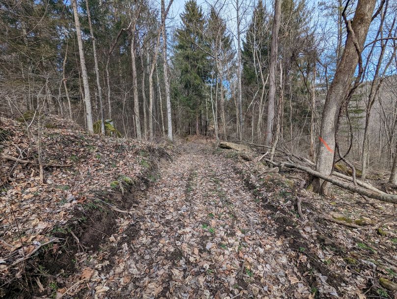 PXL_20230213_165950170