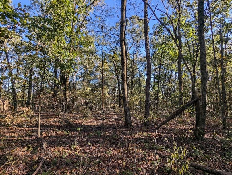 PXL_20251001_210457258