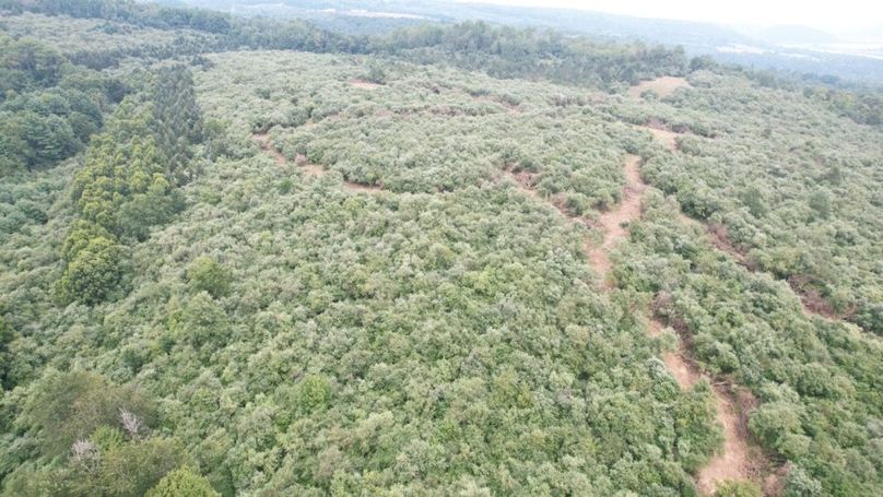 dji_fly_20250806_140740_586_1754530423965_photo