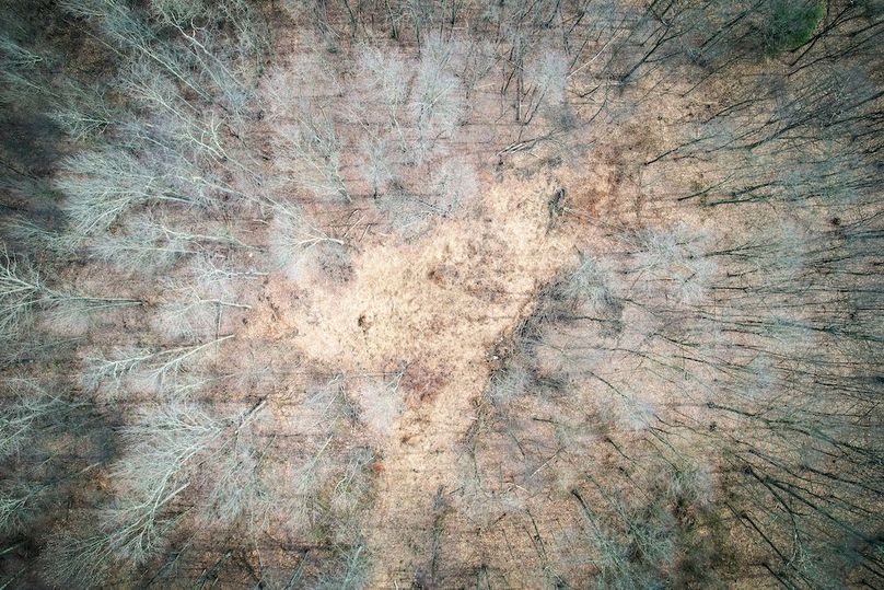 dji_fly_20260302_104240_539_1772466948254_photo