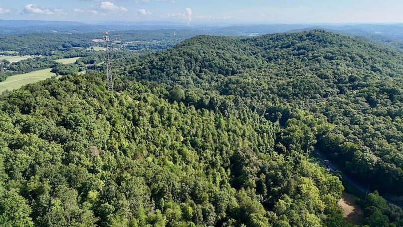 DJI_20250726095211_0053_D