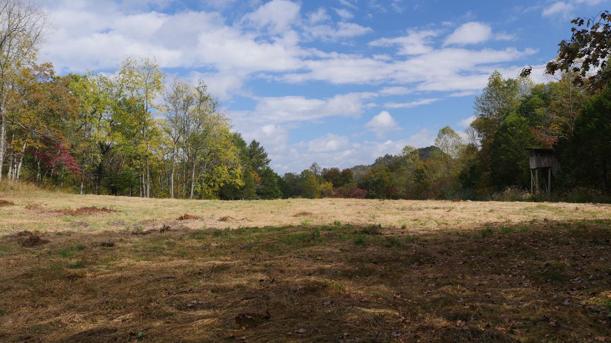 View of Private Mountain Retreat With Beautiful Hardwood Forest And Scenic ...