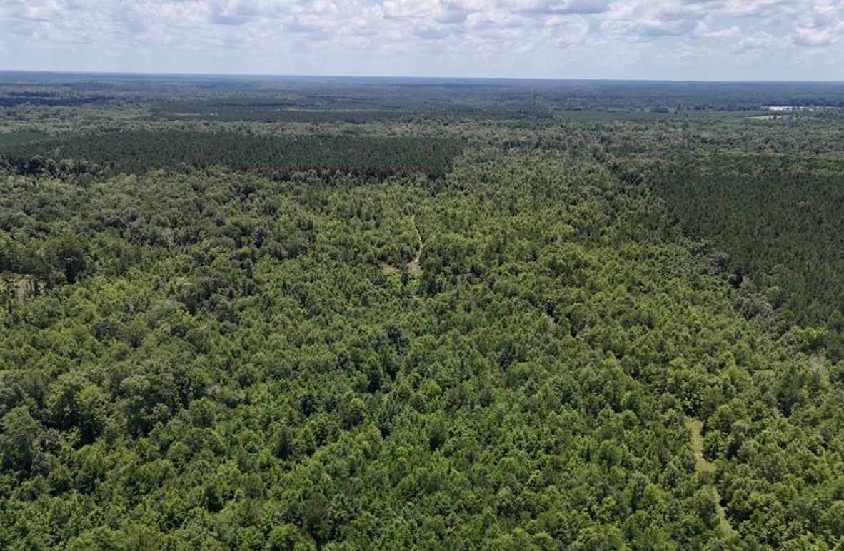 Copy of DJI_20250624022721_0632_D