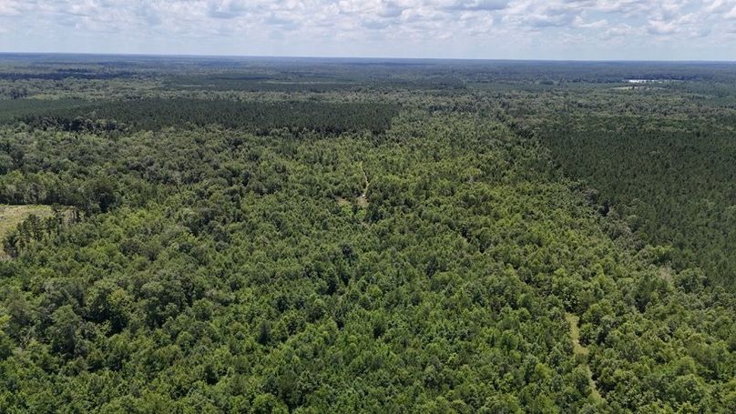 Copy of DJI_20250624022721_0632_D