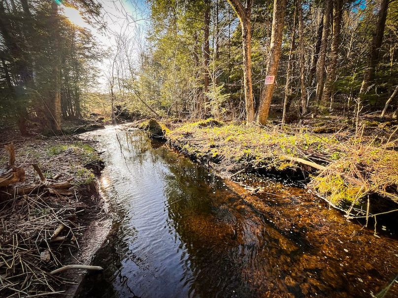 Oswego_17.88_Feld_Photos_32