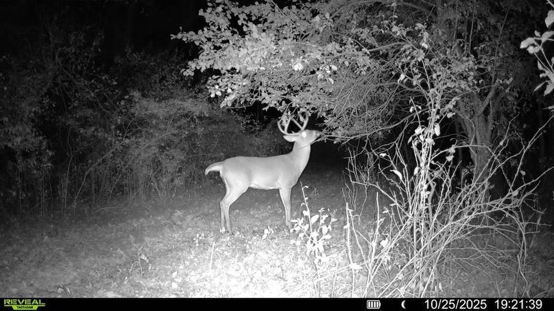 016579008048089-100-4-10252025192139-SYFW00012