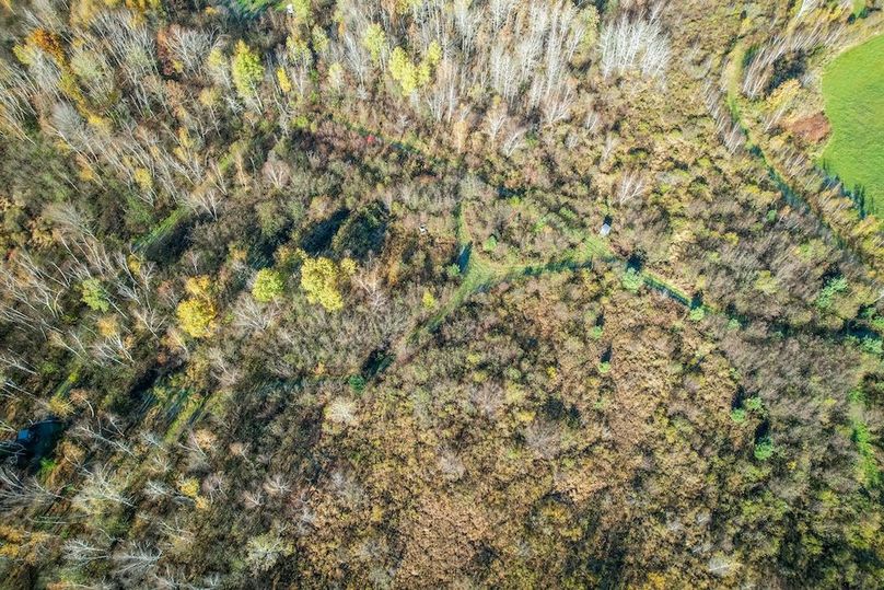 Clark 24.75 Winkel -43