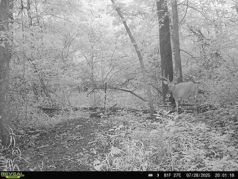 864049057268569-90-3-07282025200118-W1011823