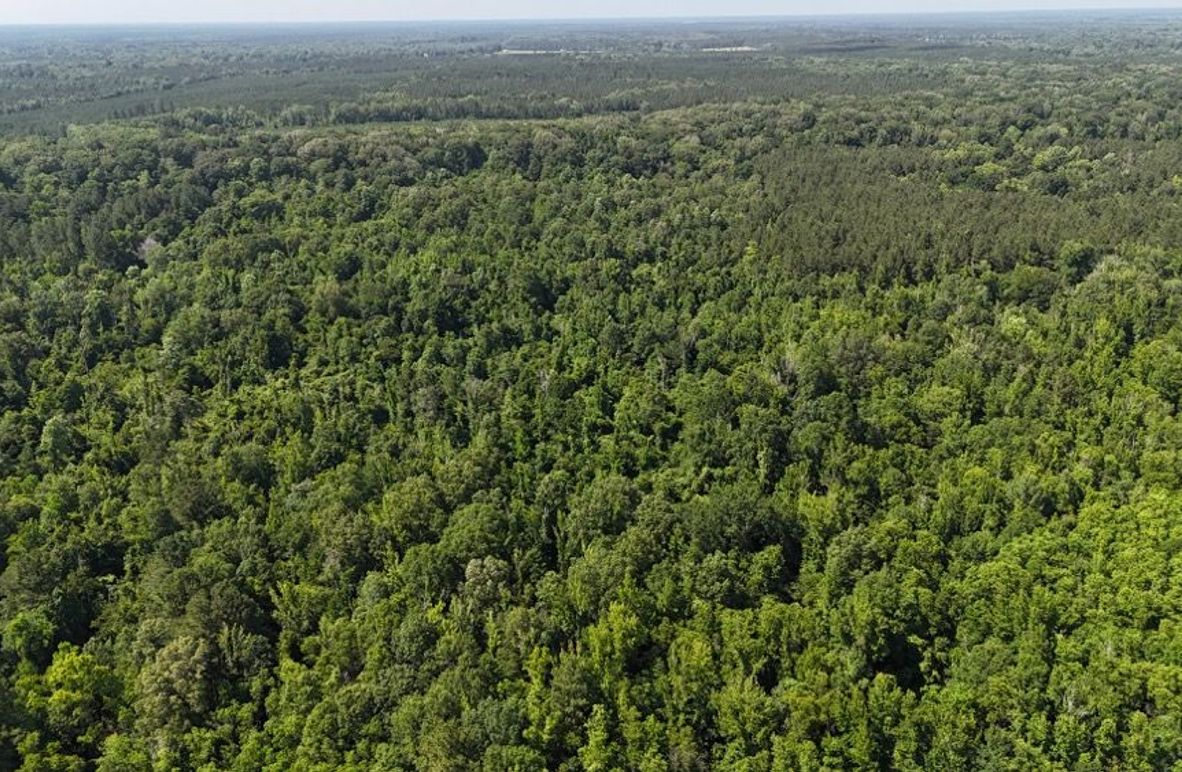 dji_fly_20250526_043812_0003_1748267928910_photo